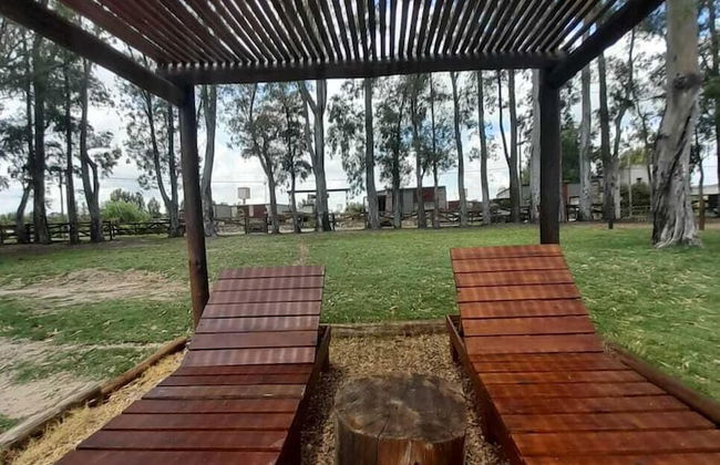 Olivos de Monte - Foto 60