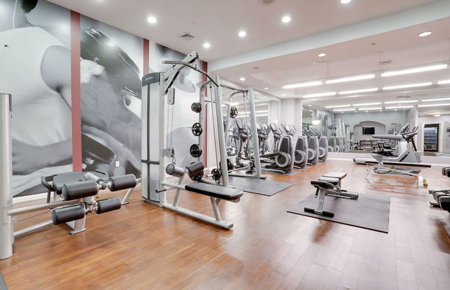 Charming Elegance Crystal City Apartment - Foto 50
