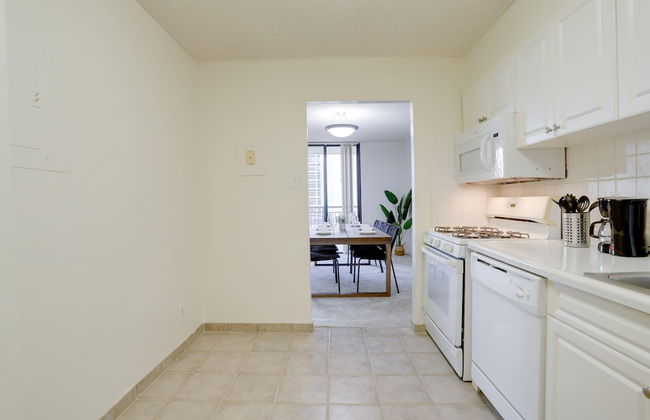 Charming Elegance Crystal City Apartment - Foto 28