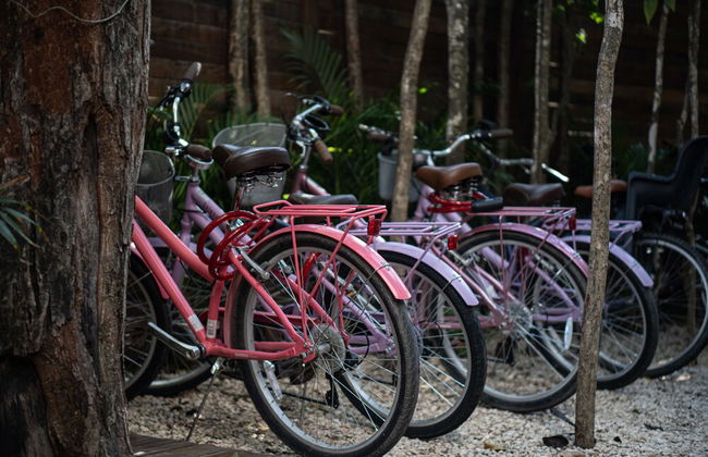 Vita Tulum - Foto 50