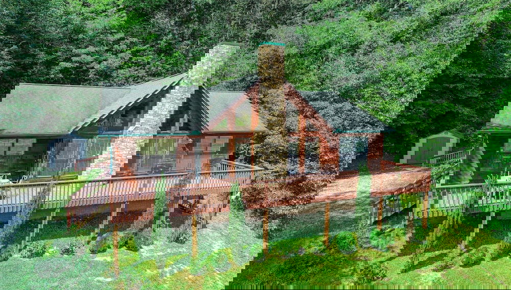 Primary image