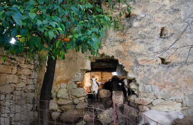 Glikanisos House Nipos - Ideal for Hikers and Families 2bd, 6pl, 10min to Beach - Photo 41