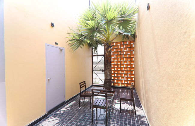 LA PALMERA - Foto 2