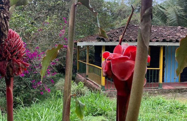CABAÑAS EL PARAISO EN FILANDIA - Foto 12