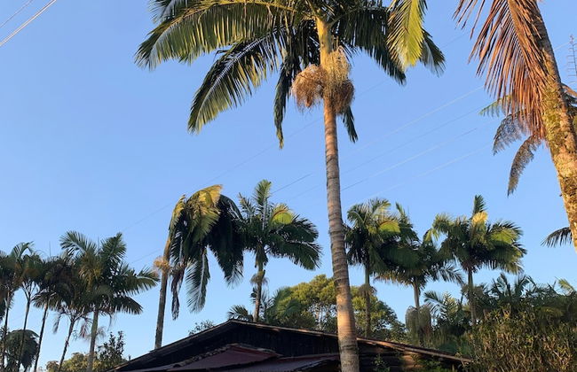 CABAÑAS EL PARAISO EN FILANDIA - Foto 6