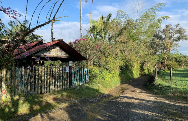 CABAÑAS EL PARAISO EN FILANDIA - Foto 8