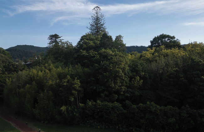 Canto's Green Garden & SPA - Photo 64
