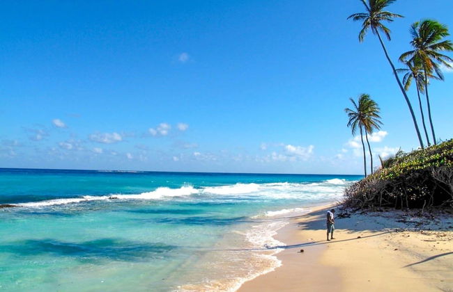 Ocean View by Bluescape - Photo 29