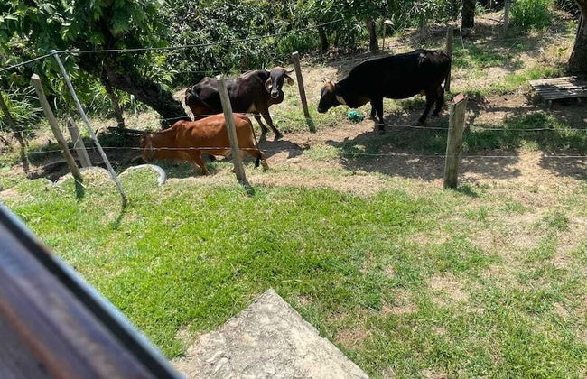 Finca Recreativa los Altos Giraldos - Foto 10