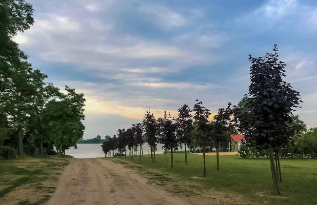 Holiday Home in Gluszyn With Private Pool - Photo 18