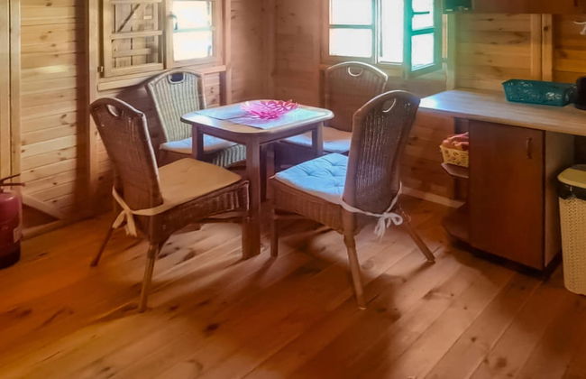 Holiday Home in Gluszyn With Private Pool - Photo 12