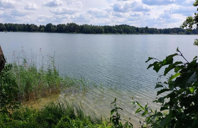 Holiday Home in Gluszyn With Private Pool - Photo 35