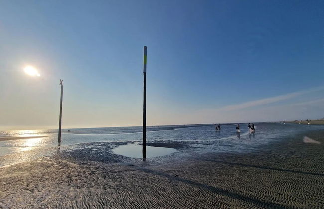 Aalernhus Residenzen in St.peter-ording - Foto 43