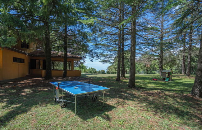 Tenuta De Paoli - Photo 22