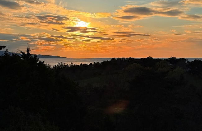 Résidence Château d'Acotz - Foto 1