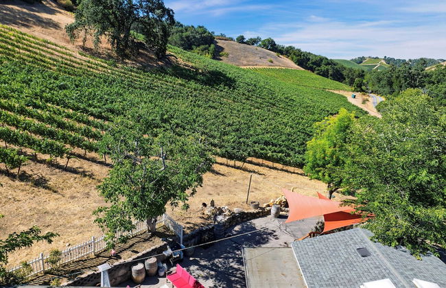 Luxury Wine Country Haven + Vineyard Views Near Top Wineries Adelaida Farmhouse - Foto 49