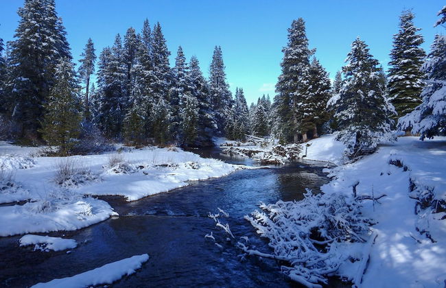 Alpine Way Lake & Sugar Bowl Resort - Foto 22
