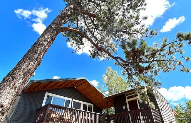 Perch Point- Hikers Dream Cabin Base - Foto 1