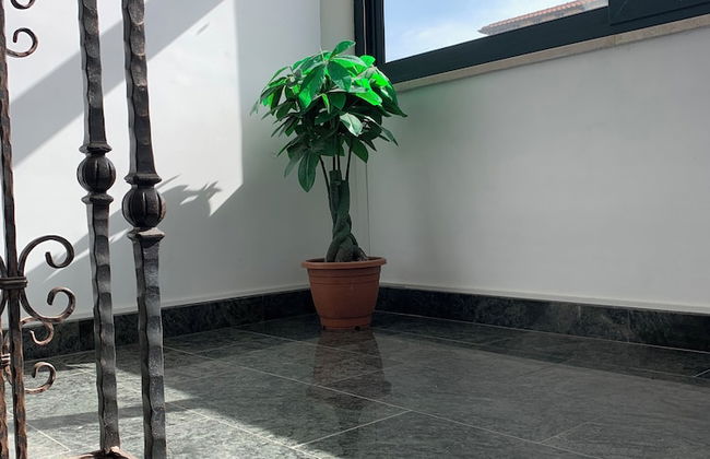 Don Michele Apartments - Foto 15
