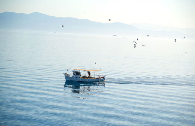 Lefkas Apt in Gaios With 1 Bedrooms and 1 Bathrooms - Foto 28