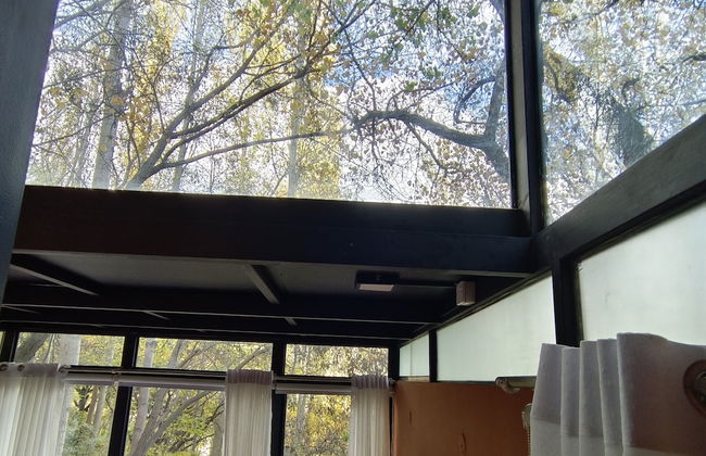 Kalp With Forest View- Cloud Nine and a Half Hunza - Foto 12