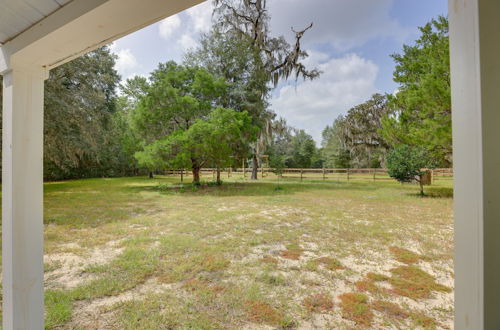 Photo 12 - Peaceful Country Home in Williston: Horses Welcome