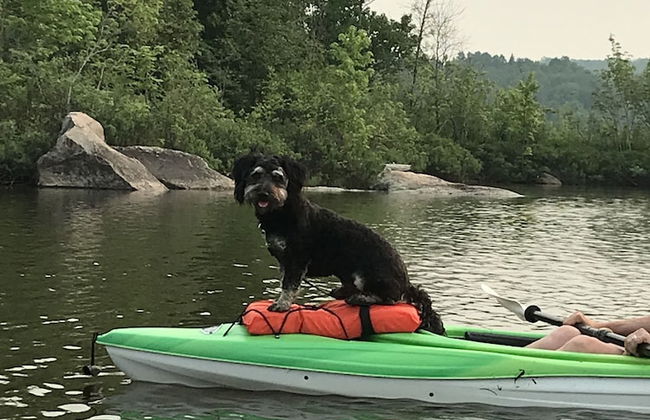Staying by the Lakeside Cottages - Photo 60