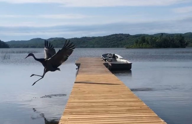 Staying by the Lakeside Cottages - Photo 75