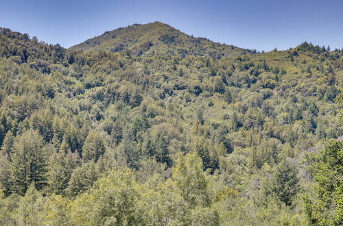 Foto 8 - Unique Larkspur Cabin w/ Treetop Mountain Views