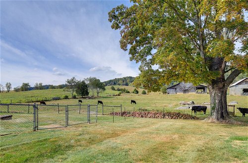 Foto 6 - Historic Bristol Getaway on 160-acre Working Farm