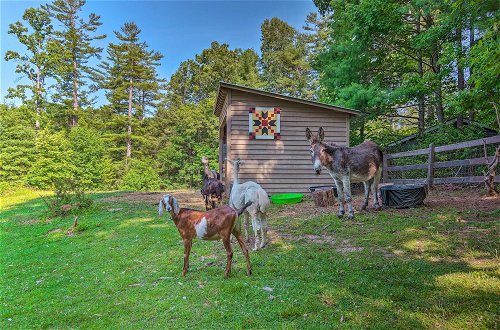 Foto 6 - Rustic & Authentic Farm Stay by Dupont Forest