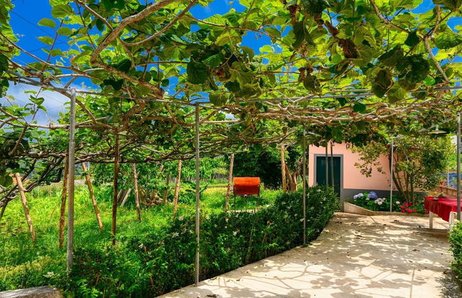 Os Ferreirinhos, a Home in Madeira - Foto 94