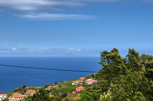 Photo 3 - Os Ferreirinhos a Home in Madeira