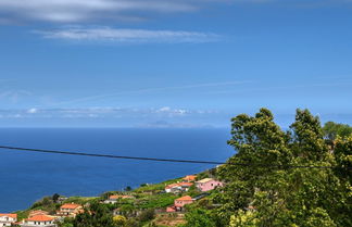 Photo 3 - Os Ferreirinhos a Home in Madeira