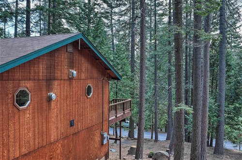 Foto 11 - Serene Woodland Cabin: 4 Mi to Big Tree State Park