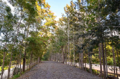 Photo 30 - Hacienda La Huerta