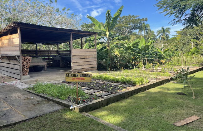 Hacienda La Huerta - Foto 22