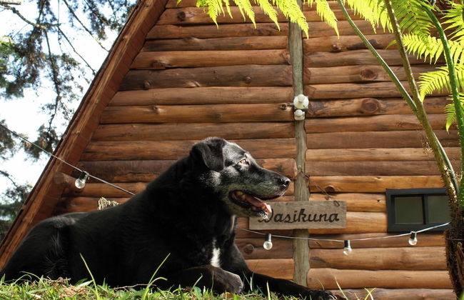 Wasikuna cabañas rurales tipo glamping - Foto 64