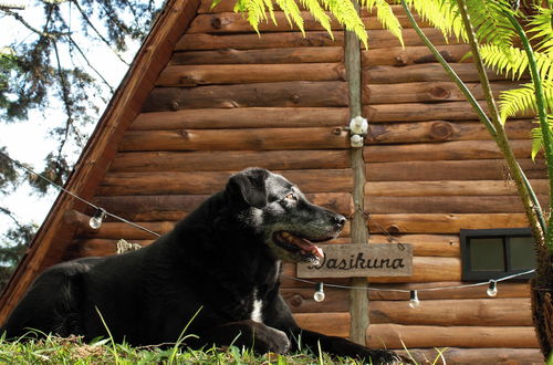 Foto 64 - Wasikuna cabañas rurales tipo glamping