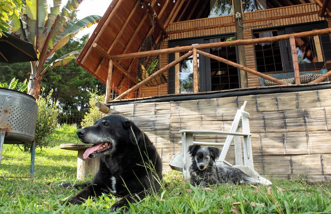 Wasikuna cabañas rurales tipo glamping - Foto 65