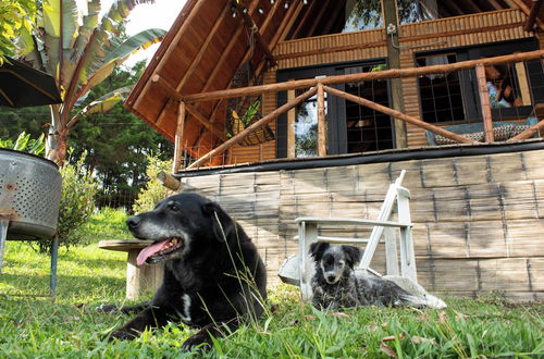 Photo 65 - Wasikuna cabañas rurales tipo glamping