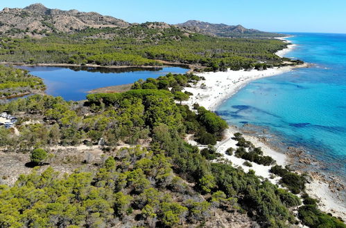 Photo 40 - Idyllic Residence Cala Viola No1413