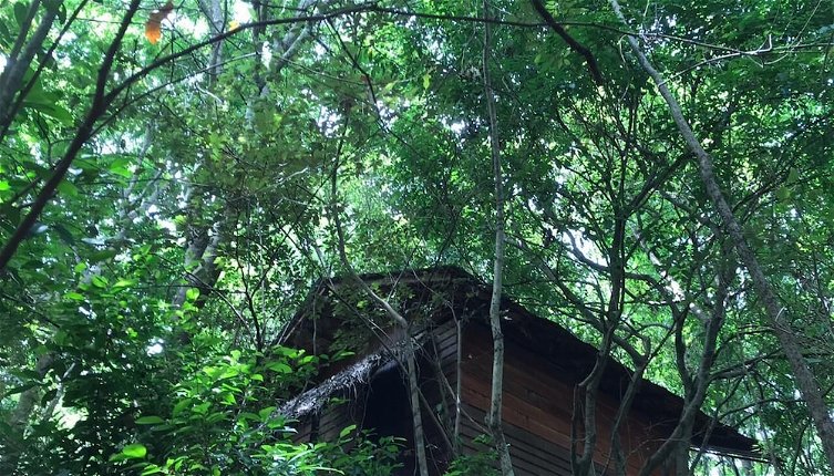 Foto 1 - Inn On The Tree Eco Resort Sigiriya
