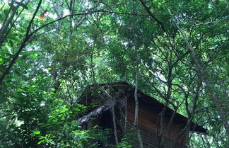 Foto 1 - Inn On The Tree Eco Resort Sigiriya