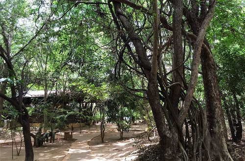 Foto 23 - Inn On The Tree Eco Resort Sigiriya