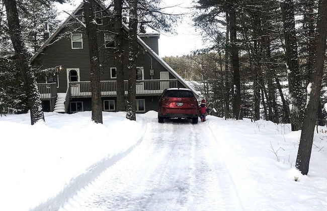 Muskoka Lakeshore Cottage Bliss - Photo 75