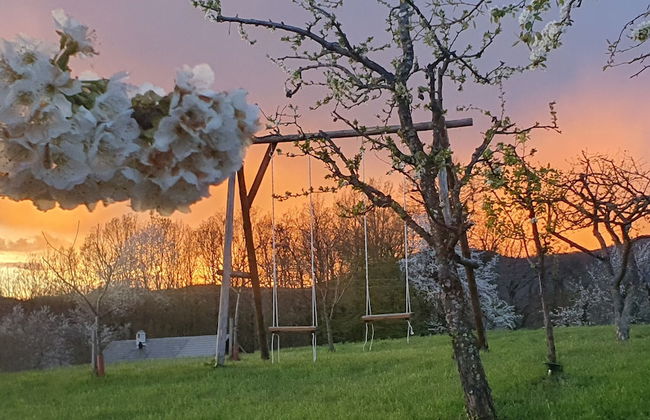Vineyard cottage Lan na Hribu - Foto 22