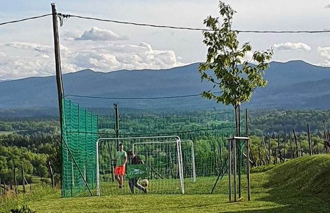 Vineyard cottage Lan na Hribu - Foto 24