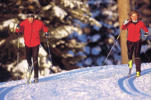 Photo 41 - Modern Apartment Near Cross-country Skiing