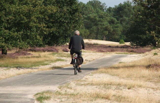 Chalet Near Loonse and Drunense Duinen - Foto 26